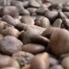 beech pebbles